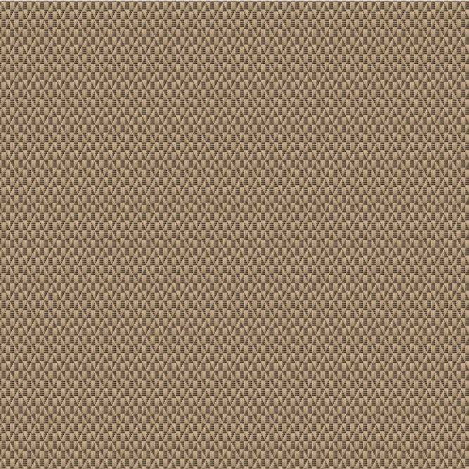 9229 Straw