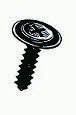 Black Oval Head Tapping Screw