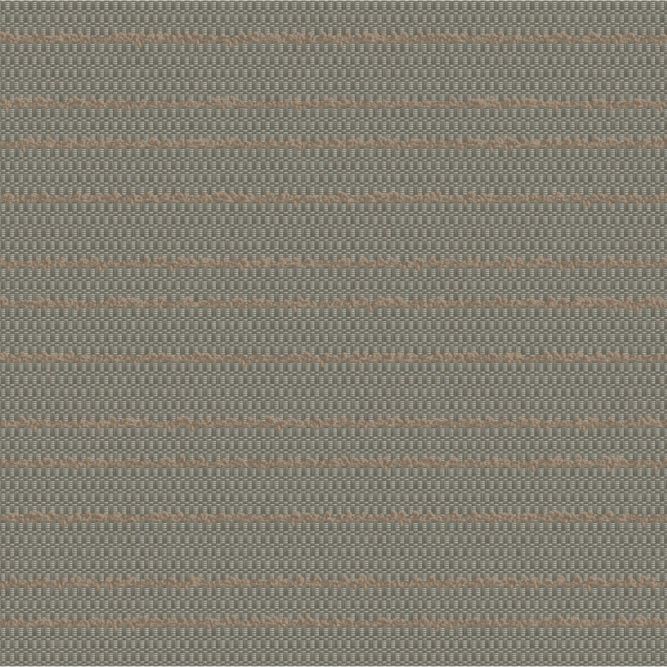 11905 Cavo Taupe