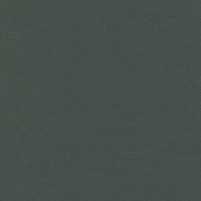 ECL-021 * Extreme Grey