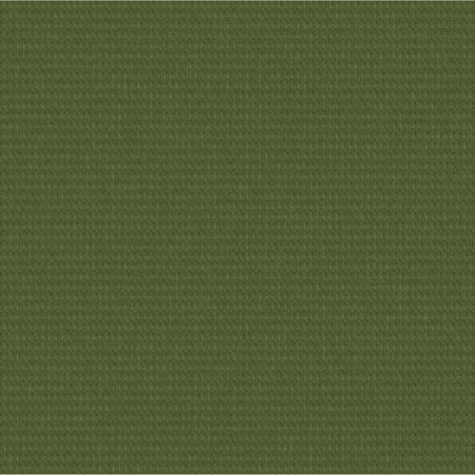2668 Grass