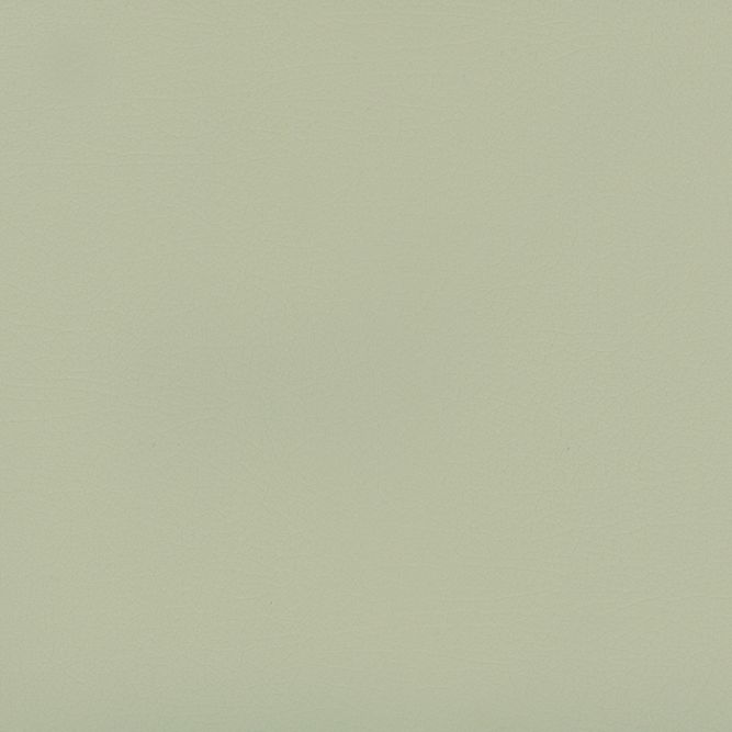 NUA-2465 Shale