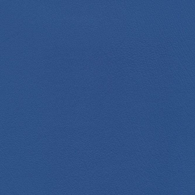 PRZ-006 Blue Jay