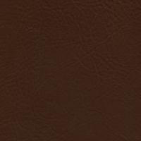 TRA-6611 Coconut Brown