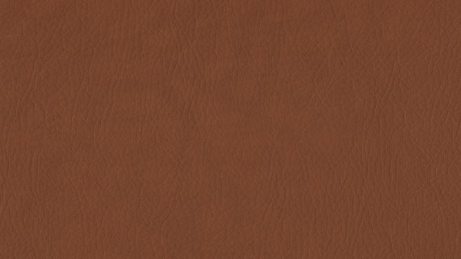 WHI-2125 Cinnamon