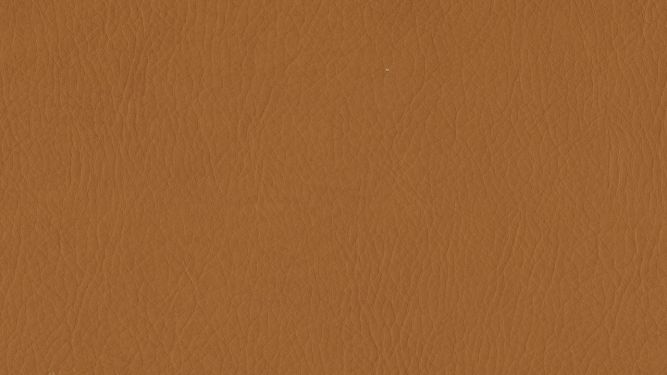 WHI-2142 * Cognac