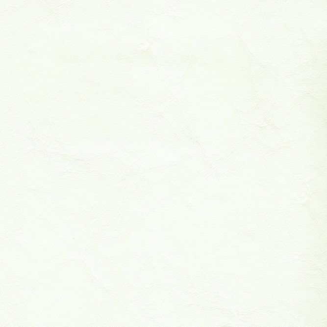 ZAN-3103 Brilliant White