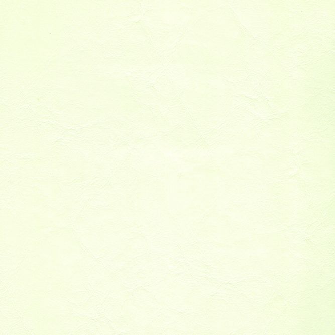ZAN-3104 Off White