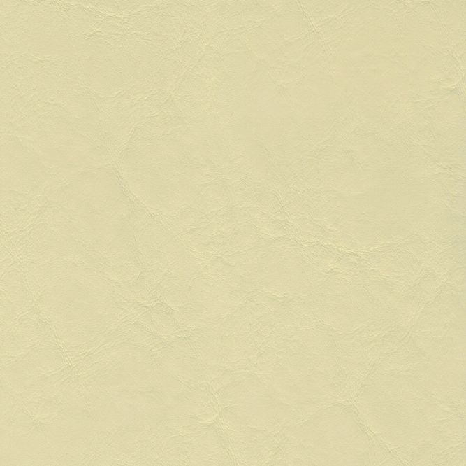 ZAN-3105 White Cap