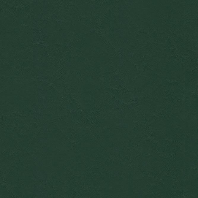 ZAN-3125 Forest